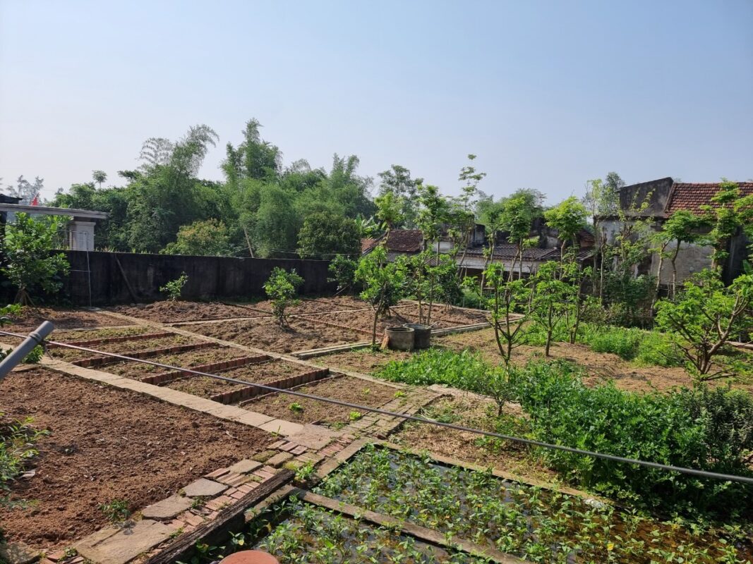 Đất không có giấy chứng nhận có được chia thừa kế không?